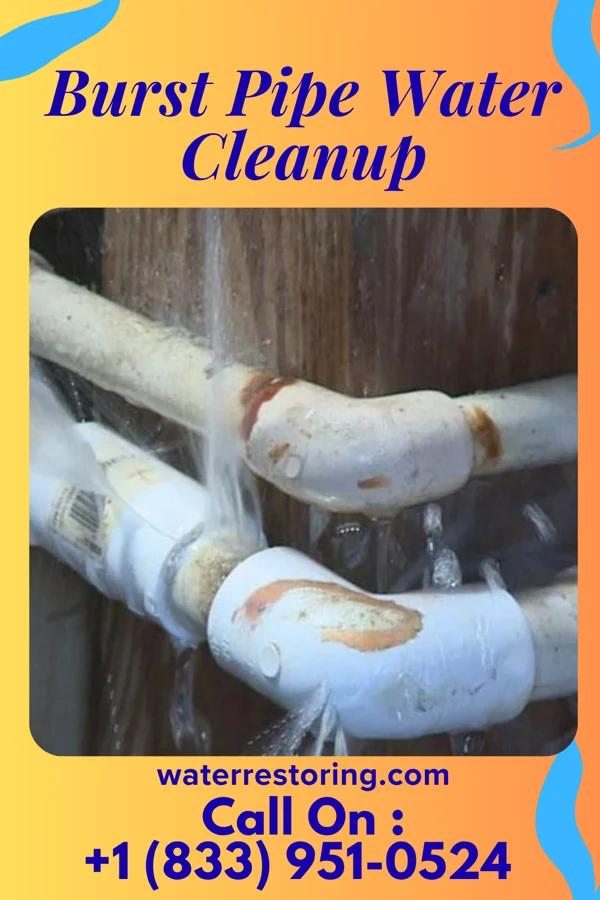 Burst Pipe Water Cleanup in Ancient Oaks, PA