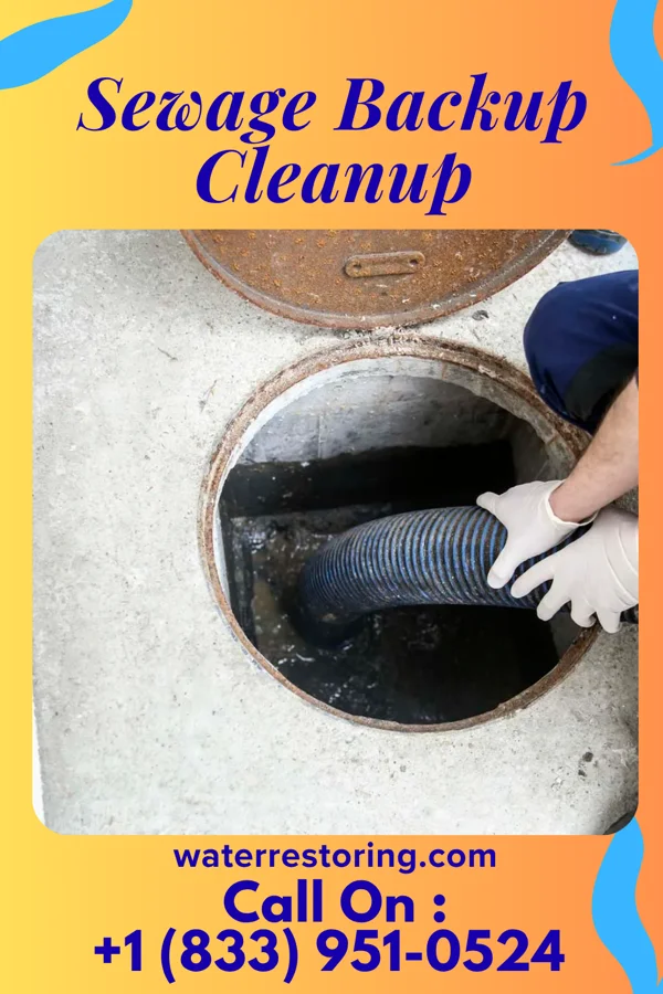 Sewage Backup Cleanup in Ancient Oaks, PA