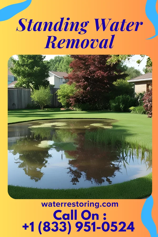 Standing Water Removal in Ancient Oaks, PA